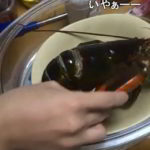 ジブリアニメに出てくる食べ物を再現調理する動画が凄すぎます！