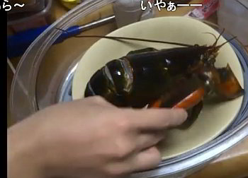 ジブリアニメに出てくる食べ物を再現調理する動画が凄すぎます