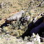 本当にあった謎の巨石：ボリビア