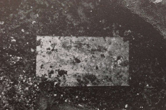 和宮墓発掘時に見つかった写真湿板